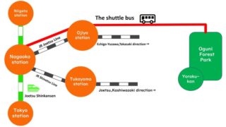 Shuttle Bus Service Information